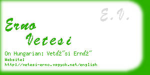 erno vetesi business card